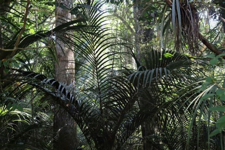 Photo of property in 16 Otaere Road, Okaihau, 0475