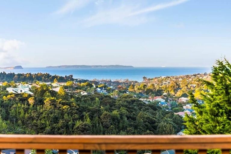 Photo of property in 951 East Coast Road, Torbay, Auckland, 0630