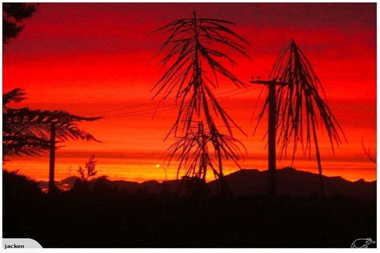 Photo of property in 2035 Kumara Junction Highway, Kumara Junction, Hokitika, 7882