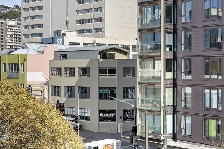 Photo of property in Vsp South, 301/168 Victoria Street, Te Aro, Wellington, 6011