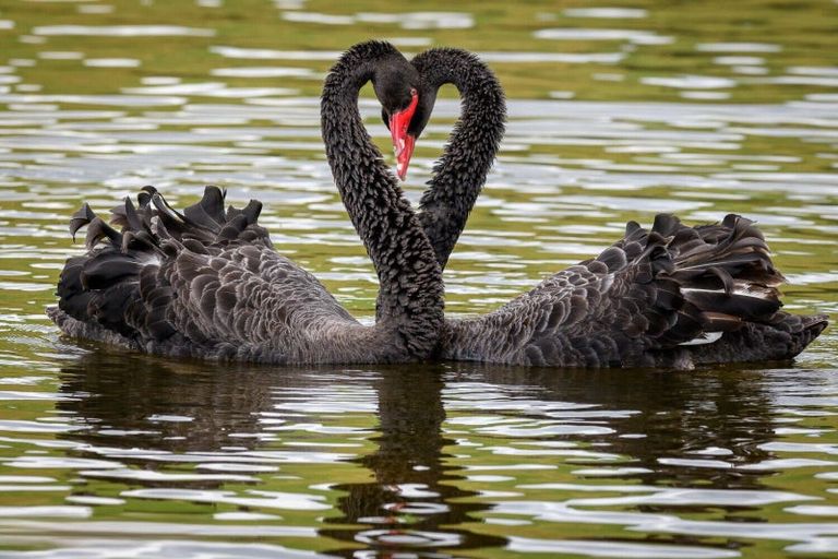 Photo of property in 1500 Mangawhai Road, Mangawhai, Wellsford, 0975