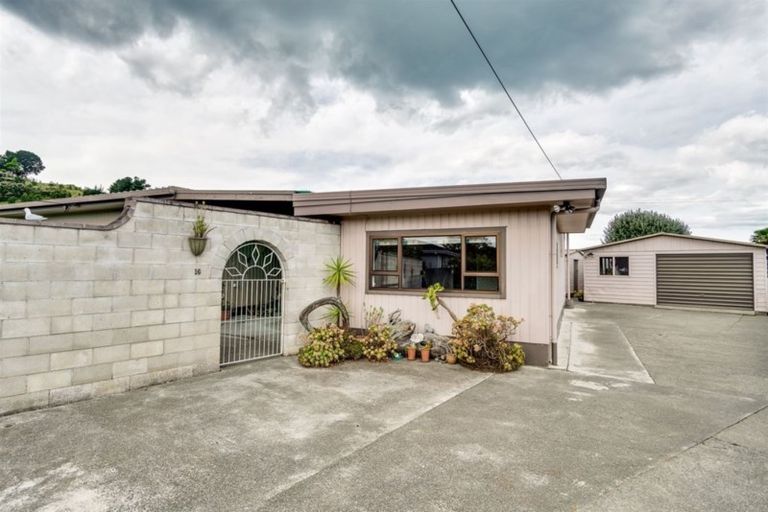 Photo of property in 16 Shirley Place, Bay View, Napier, 4104
