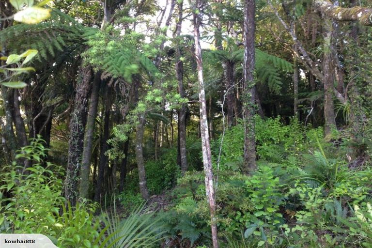 Photo of property in 483 Waiotemarama Gorge Road, Waimamaku, Kaikohe, 0473