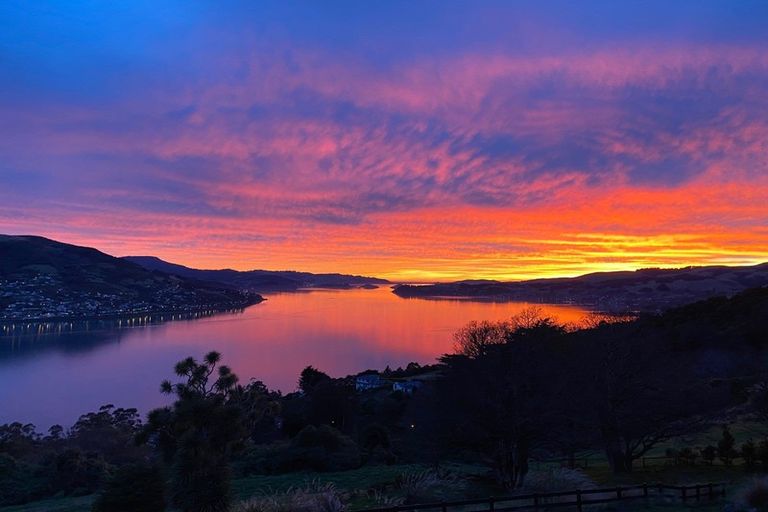 Photo of property in 297 Highcliff Road, Highcliff, Dunedin, 9013