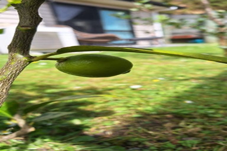 Photo of property in 22 Aragon Grove, Kingsley Heights, Upper Hutt, 5018