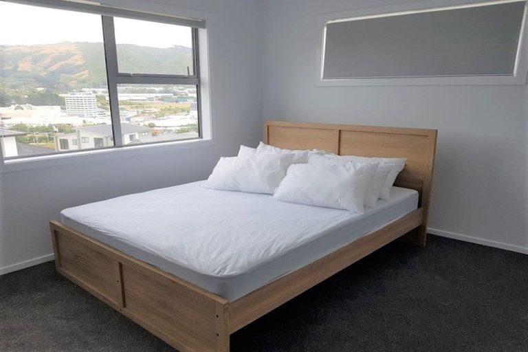 Photo of property in 105 John Burke Drive, Aotea, Porirua, 5024