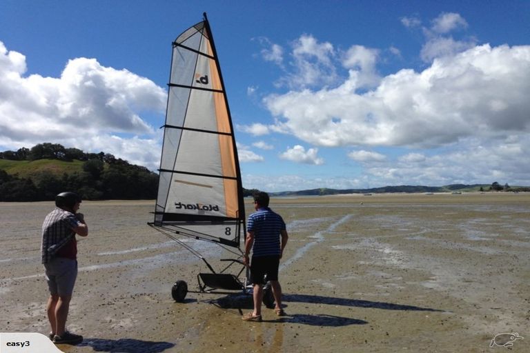 Photo of property in 421 Leigh Road, Whangateau, Warkworth, 0985