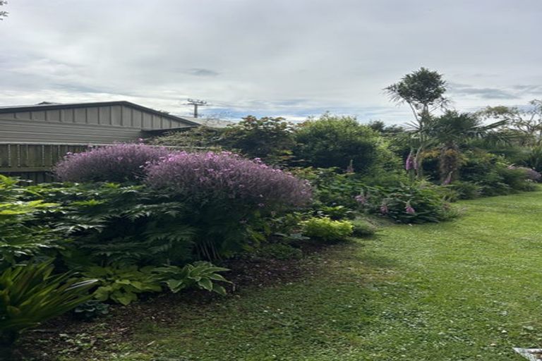 Photo of property in 189 Bartholomew Road, Levin, 5510