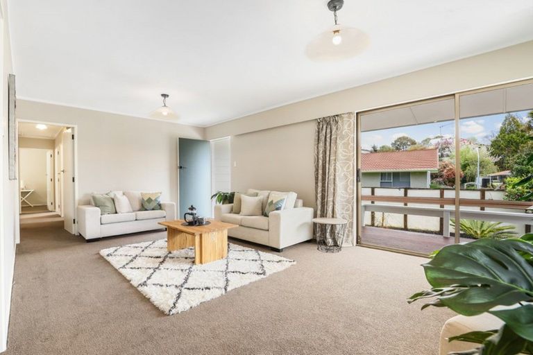 Photo of property in 29 Hazelwood Avenue, Dinsdale, Hamilton, 3204