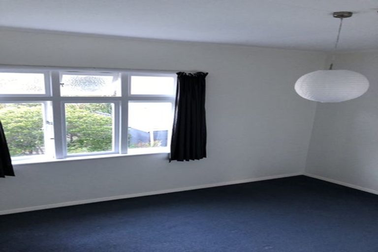 Photo of property in 215 Aro Street, Aro Valley, Wellington, 6021