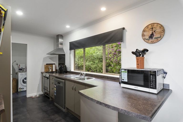 Photo of property in 91 Buckley Road, Shannon, Palmerston North, 4474