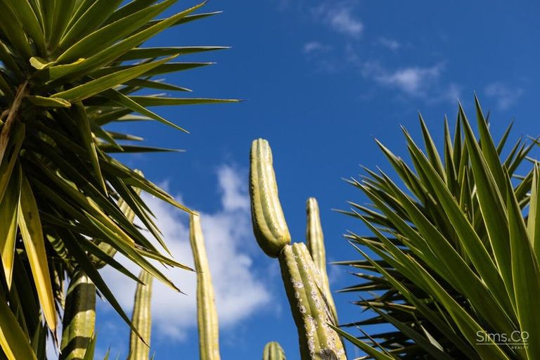 Photo of property in 38 Tongariro Street, Castlecliff, Wanganui, 4501