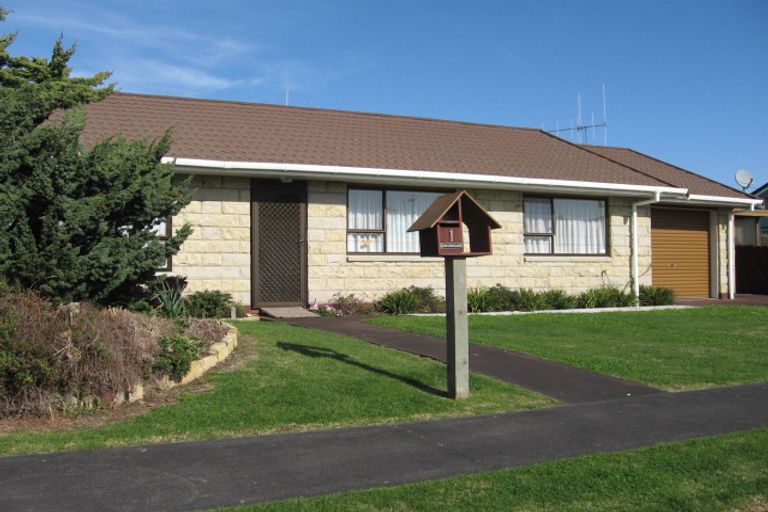 Photo of property in 1 Hampton Place, Springvale, Whanganui, 4501