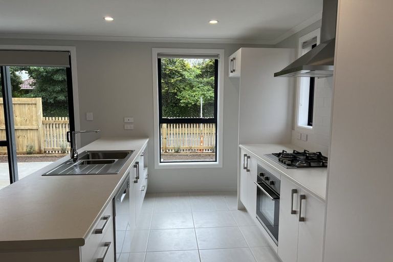 Photo of property in 1/49 Holland Road, Fairfield, Hamilton, 3214