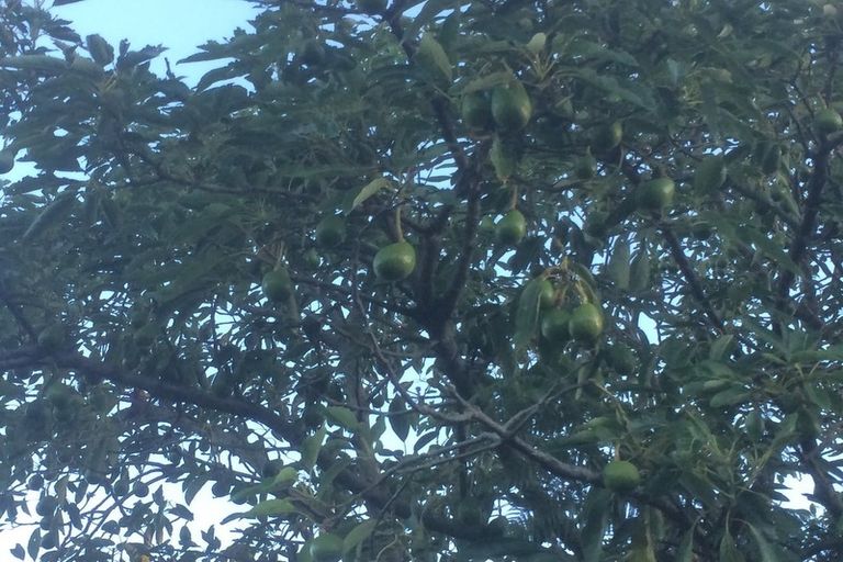 Photo of property in 5a Mcpherson Place, Fairfield, Hamilton, 3214