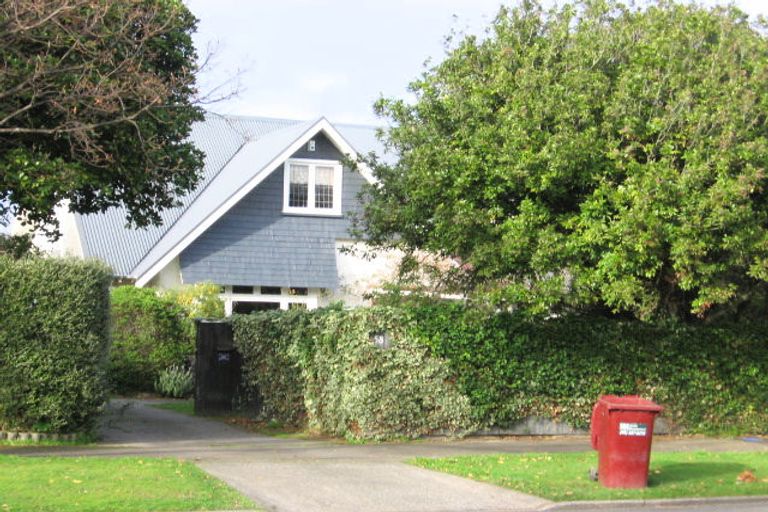 Photo of property in 58 Argyle Avenue, Takaro, Palmerston North, 4410