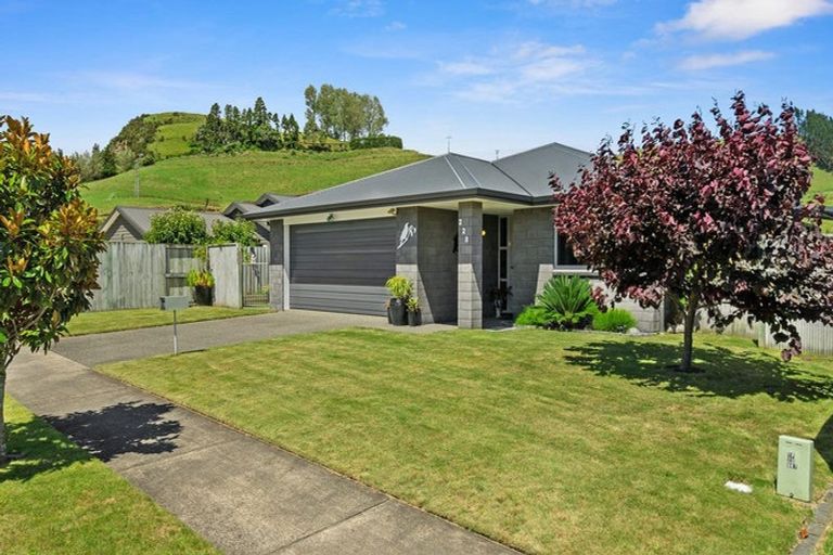 Photo of property in 228 Ballintoy Park Drive, Welcome Bay, Tauranga, 3175
