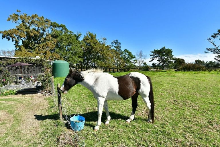 Photo of property in 37 Te Pua School Road, Helensville, 0875