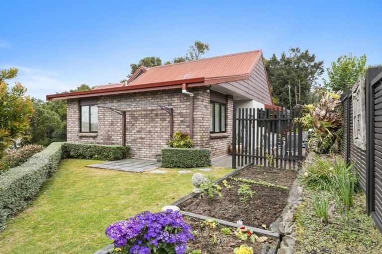 Photo of property in 38 Hammond Street, Hairini, Tauranga, 3112