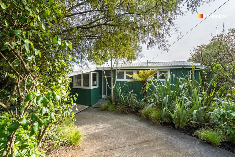 Photo of property in 171 Larnach Road, Waverley, Dunedin, 9013