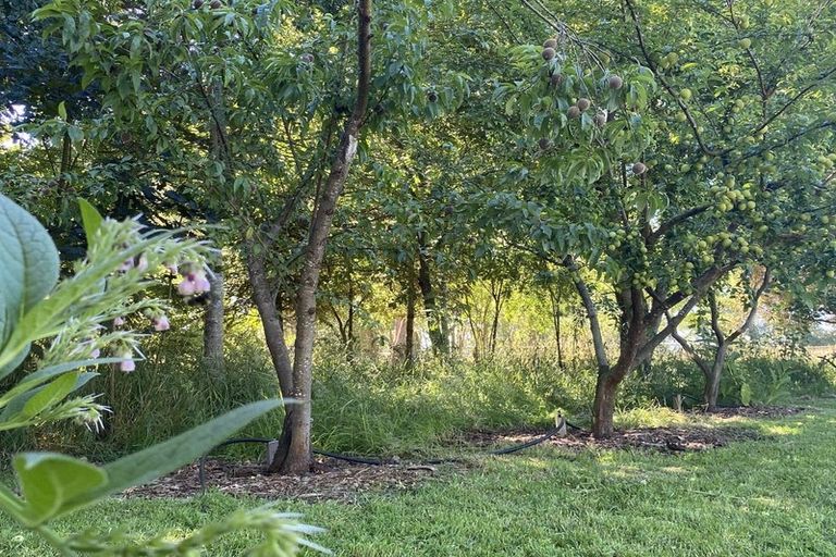 Photo of property in 98 Hawke Road, Orari, Geraldine, 7992