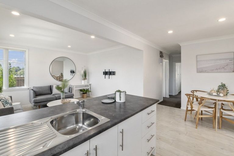 Photo of property in 16 Roosevelt Street, Levin, 5510