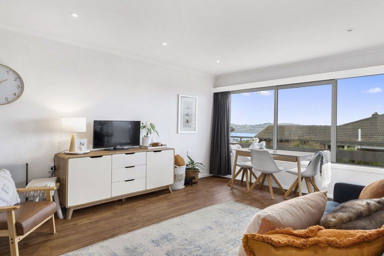 Photo of property in 19g Sheen Street, Roslyn, Dunedin, 9010