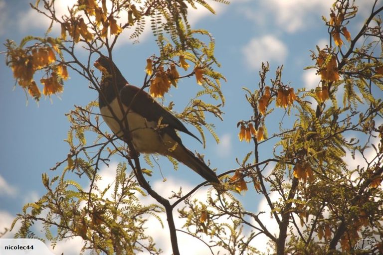 Photo of property in 18a Wade Place, Welcome Bay, Tauranga, 3175