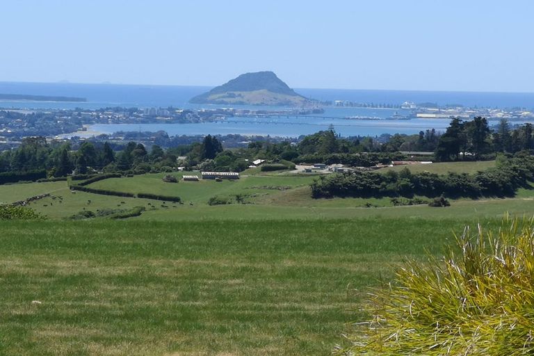 Photo of property in 905 Upper Ohauiti Road, Ohauiti, Tauranga, 3173