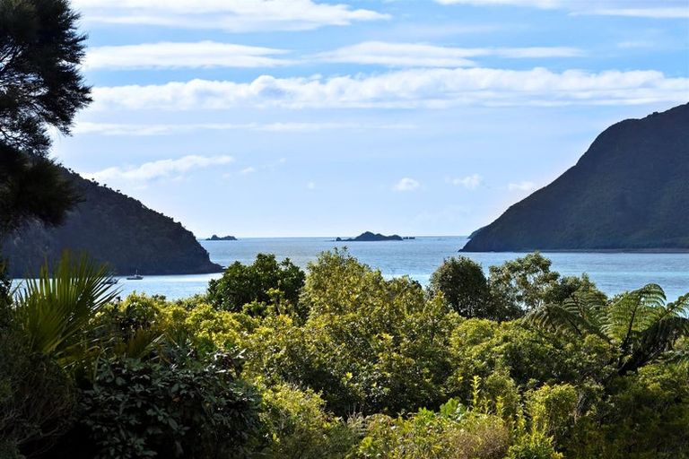 Photo of property in 3 Field Terrace, Okiwi Bay, French Pass, 7193