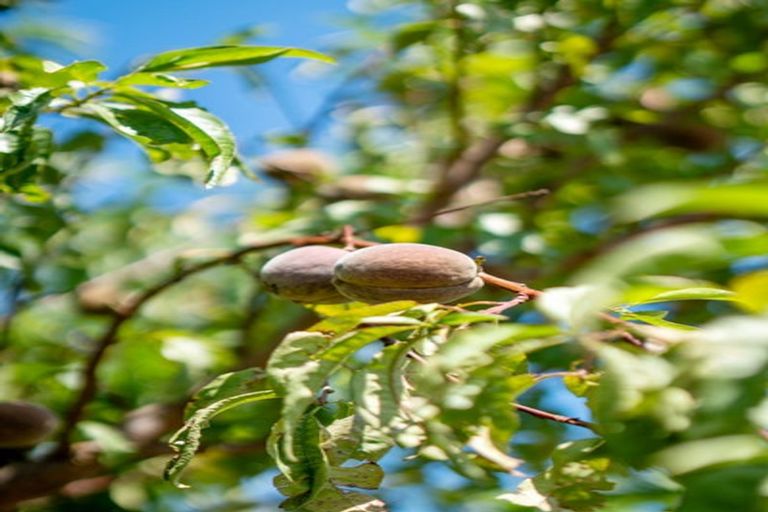 Photo of property in 15 Van Dieman Close, Templeton, Christchurch, 8042