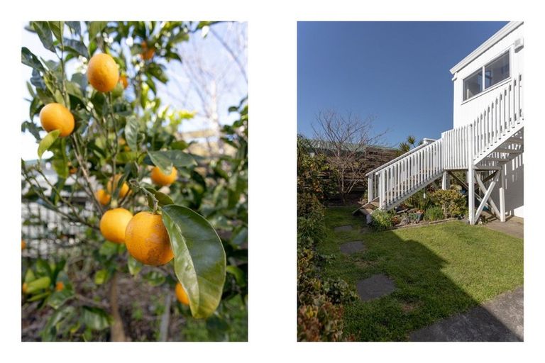 Photo of property in 48b Campbell Road, Mount Maunganui, 3116