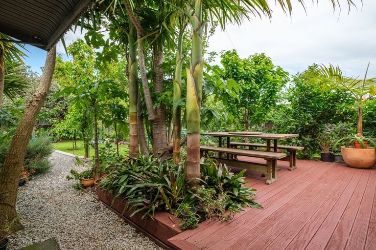 Photo of property in 17 Newton Street, Outer Kaiti, Gisborne, 4010