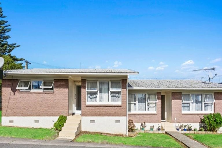 Photo of property in 17 Church Street, Otahuhu, Auckland, 1062