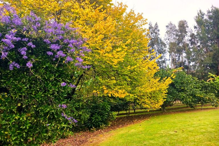 Photo of property in 47 Ness Road, Waipapa, Kerikeri, 0295