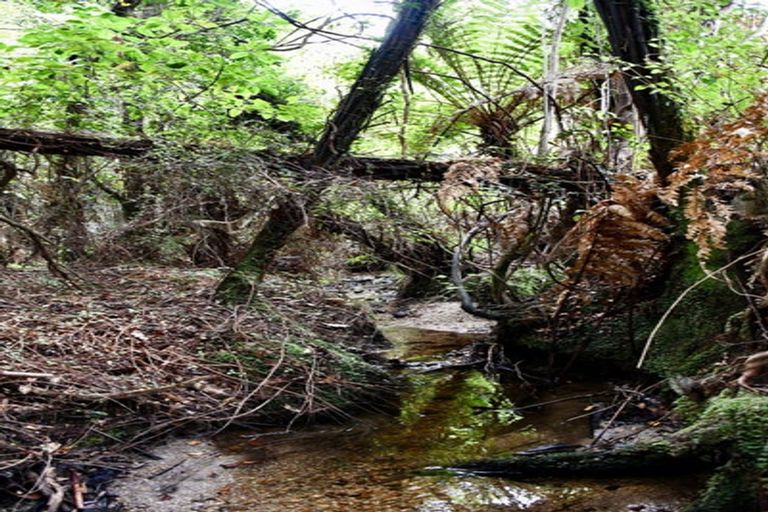 Photo of property in 70 Sunset Heights Road, Karamea, 7893