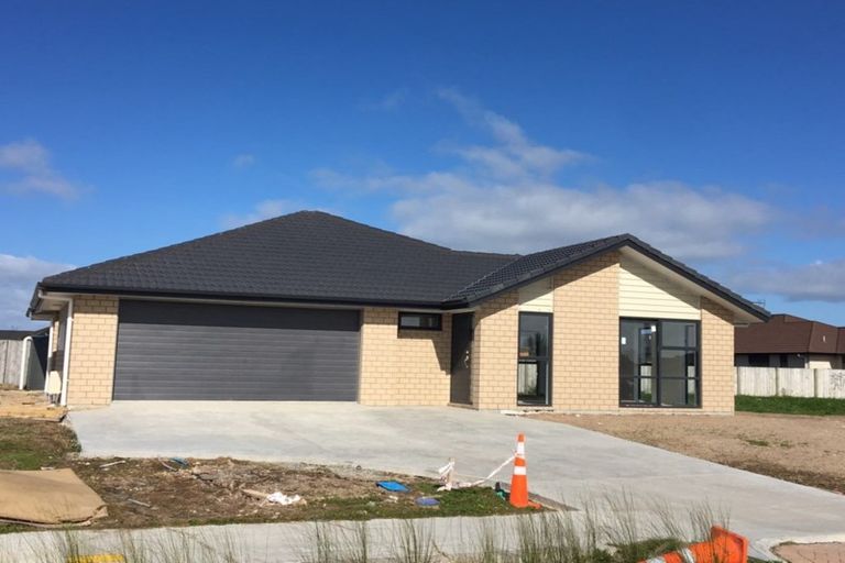 Photo of property in 217 Borman Road, Rototuna North, Hamilton, 3210