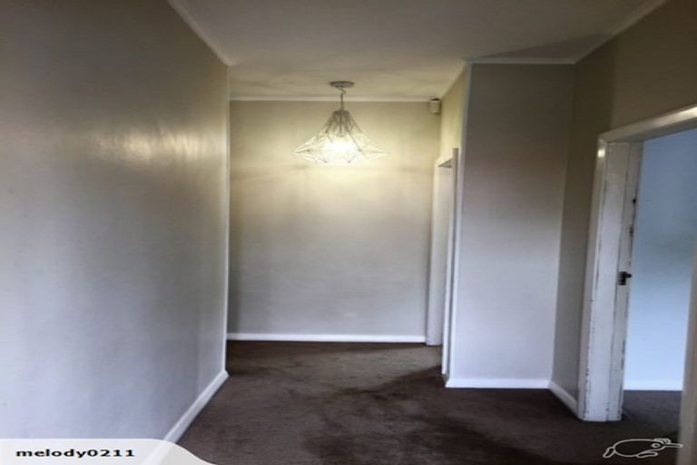 Photo of property in 17 Massey Avenue, Greenlane, Auckland, 1061
