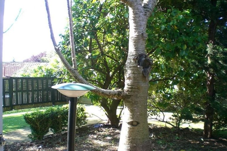 Photo of property in 9/533 Manukau Road, Epsom, Auckland, 1023