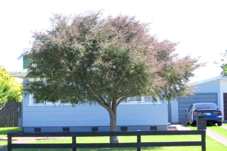 Photo of property in 4a Argyll Street, Mangapapa, Gisborne, 4010