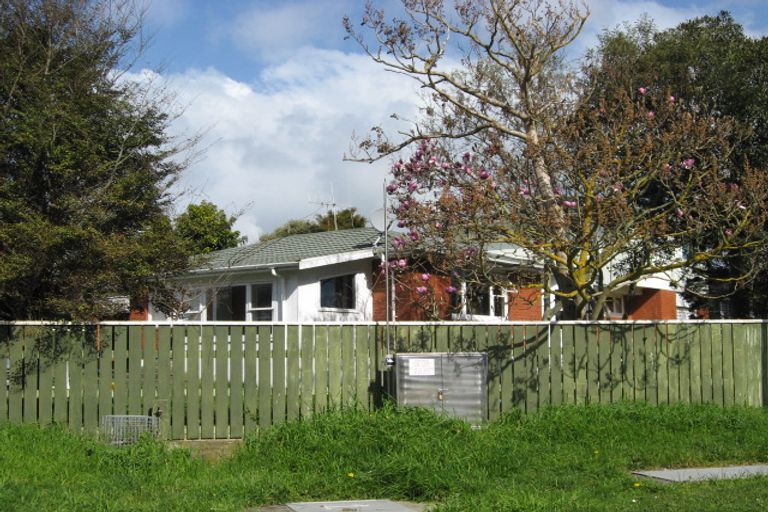 Photo of property in 160 Roslyn Road, Levin, 5510