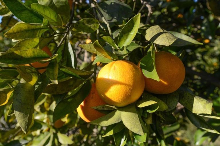 Photo of property in 133 Main Rd Clive, Clive, 4102