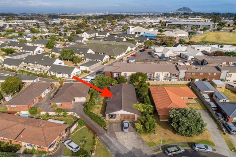 Photo of property in 15 Marwood Place, Mount Maunganui, 3116