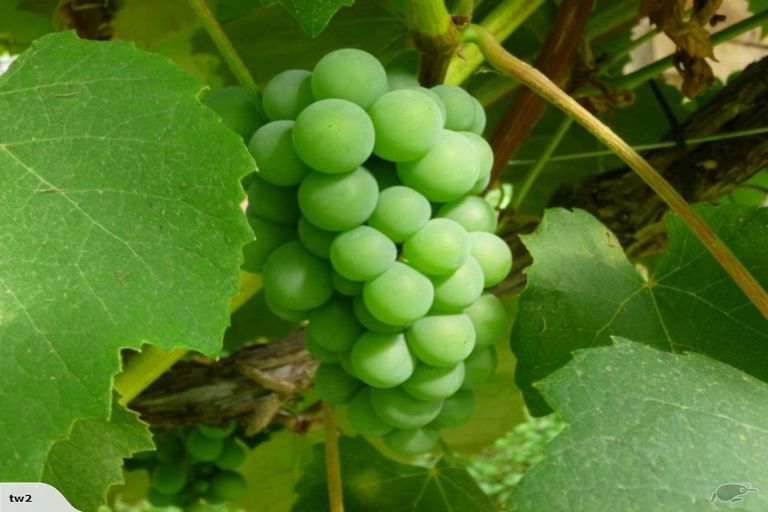 Photo of property in 509 Hossack Road, Waikite Valley, Rotorua, 3077