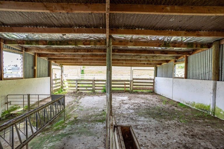 Photo of property in 38 Titoki Road, Waikanae Beach, Waikanae, 5036