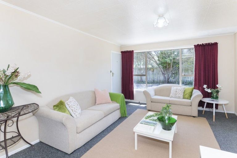 Photo of property in 40c Winter Street, Mangapapa, Gisborne, 4010