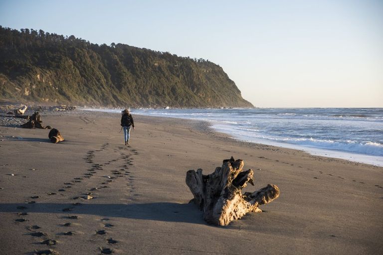 Photo of property in 9 The Strand, Okarito, Whataroa, 7886