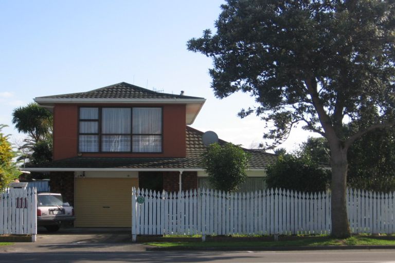 Photo of property in 111 College Street, Awapuni, Palmerston North, 4412