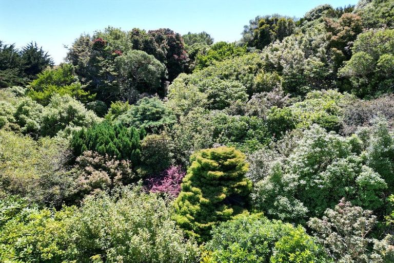 Photo of property in 63 Sandymount Road, Sandymount, Dunedin, 9077