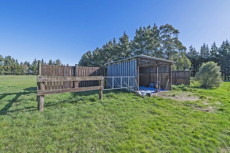 Photo of property in 201 Karanga Road, Dunsandel, Leeston, 7682